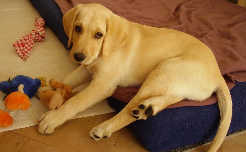 Lexie13_20080806.JPG