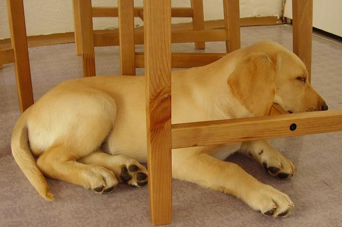 Lexie12_20080806.JPG