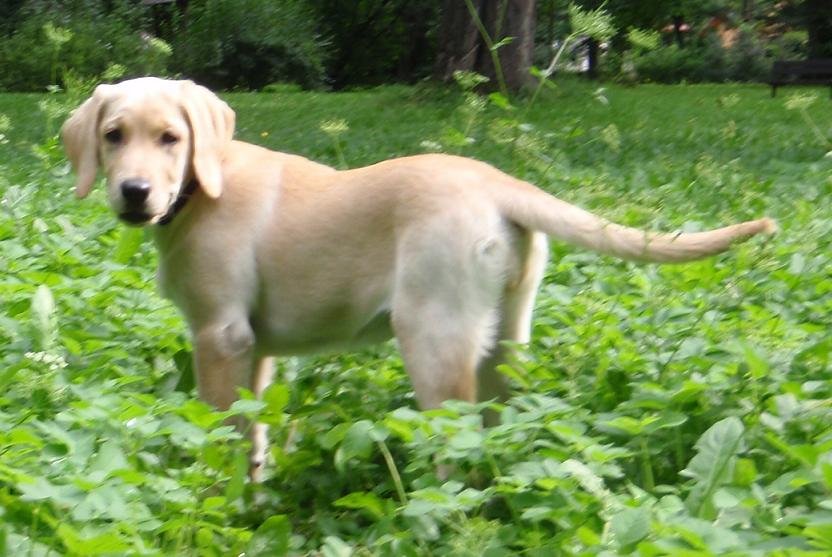 Lexie06_12.JPG