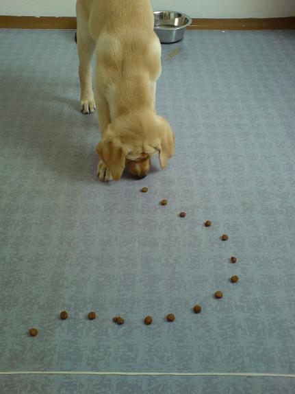 Lexie06_20080704.JPG